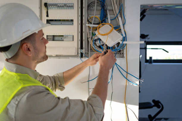 Best Electric Panel Repair  in Mountain Lake, MN
